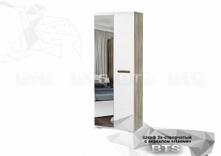 "Наоми" Шкаф 2х-створчатый с зеркалом ШК-22 (Дуб Каньон/Белый глянец)	